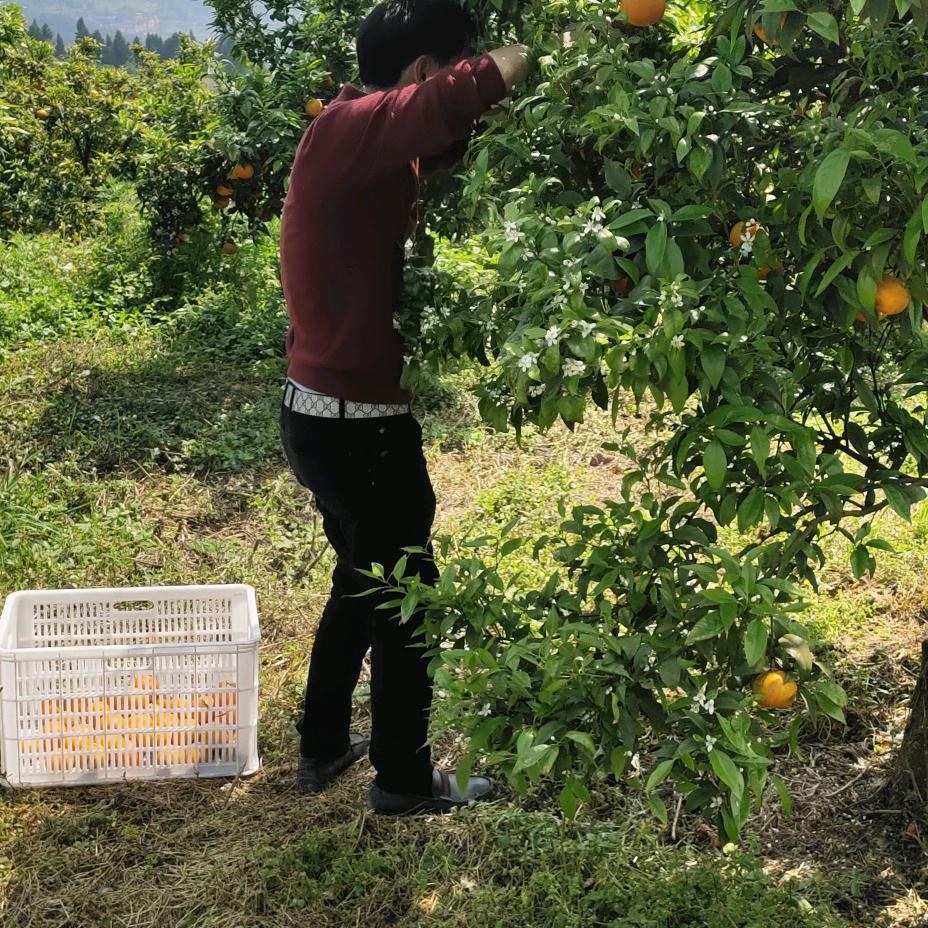 冉先生