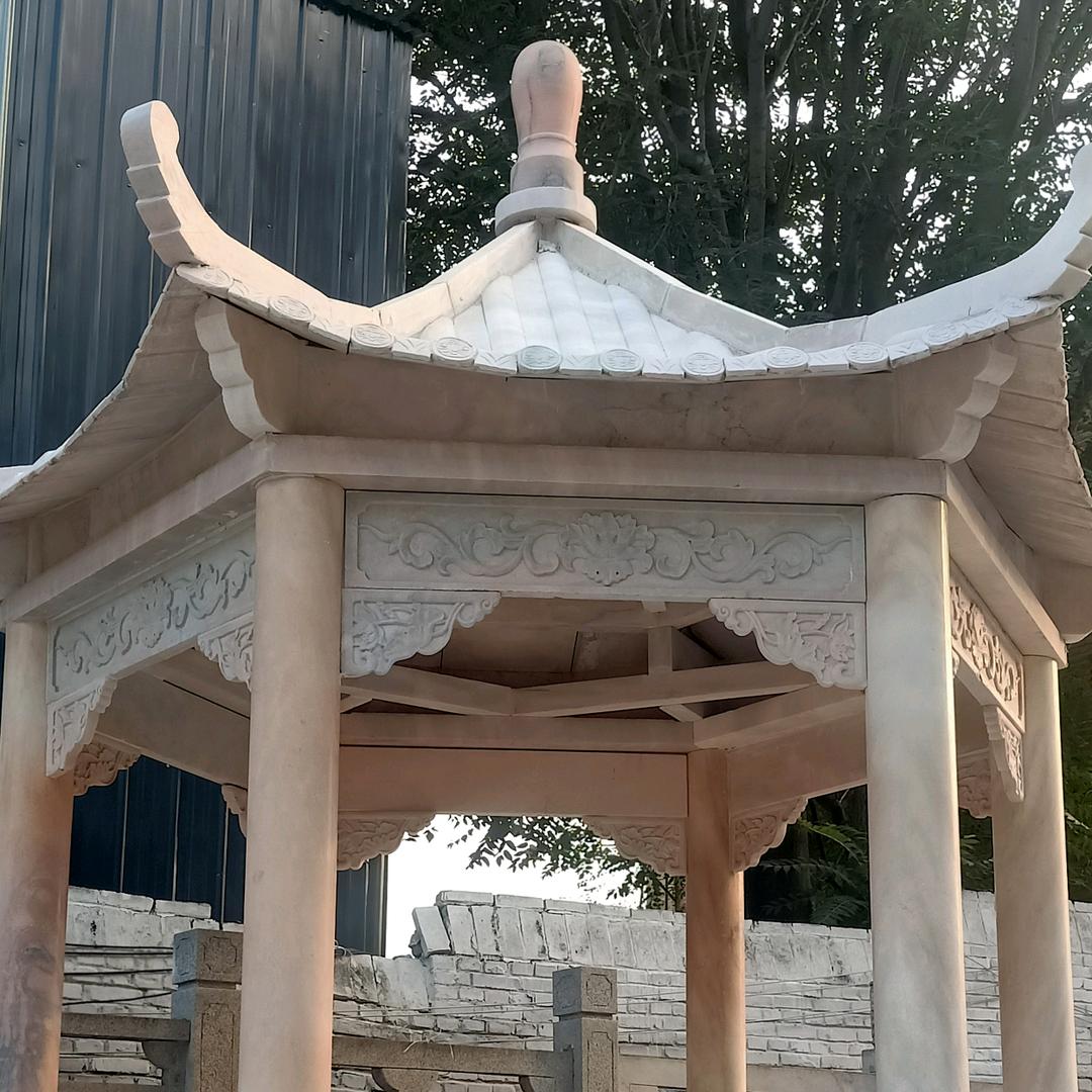 紫轩轩
