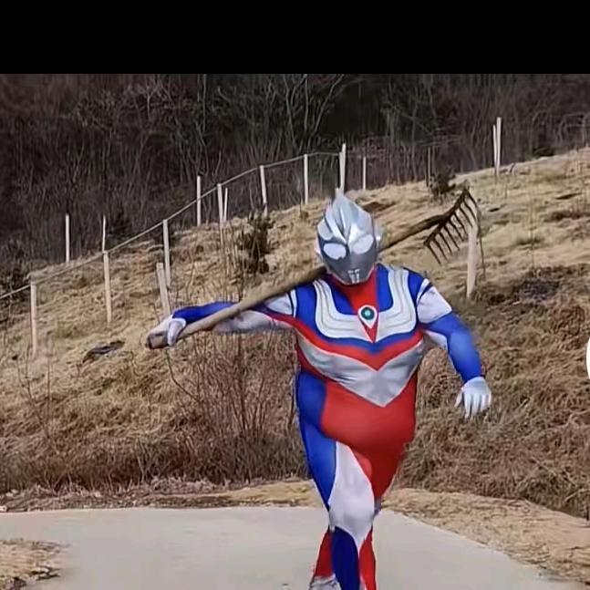 枕头不枕头