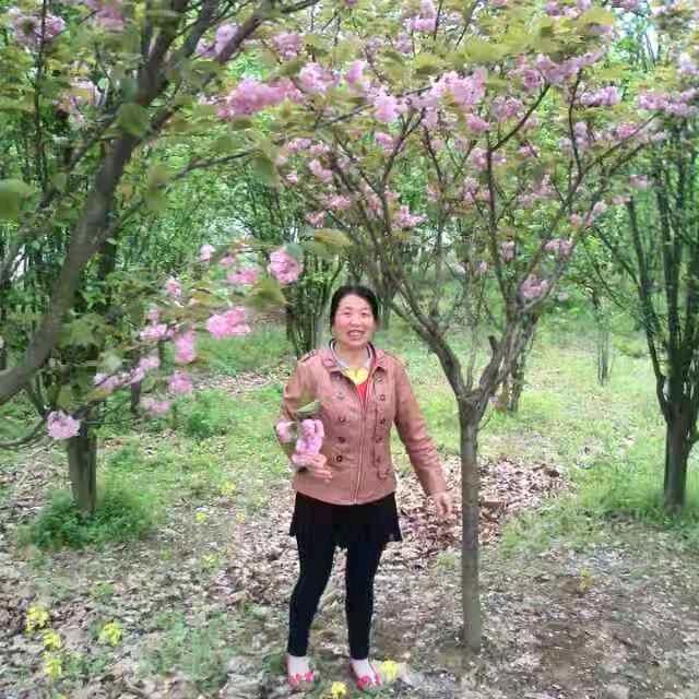 事事如意