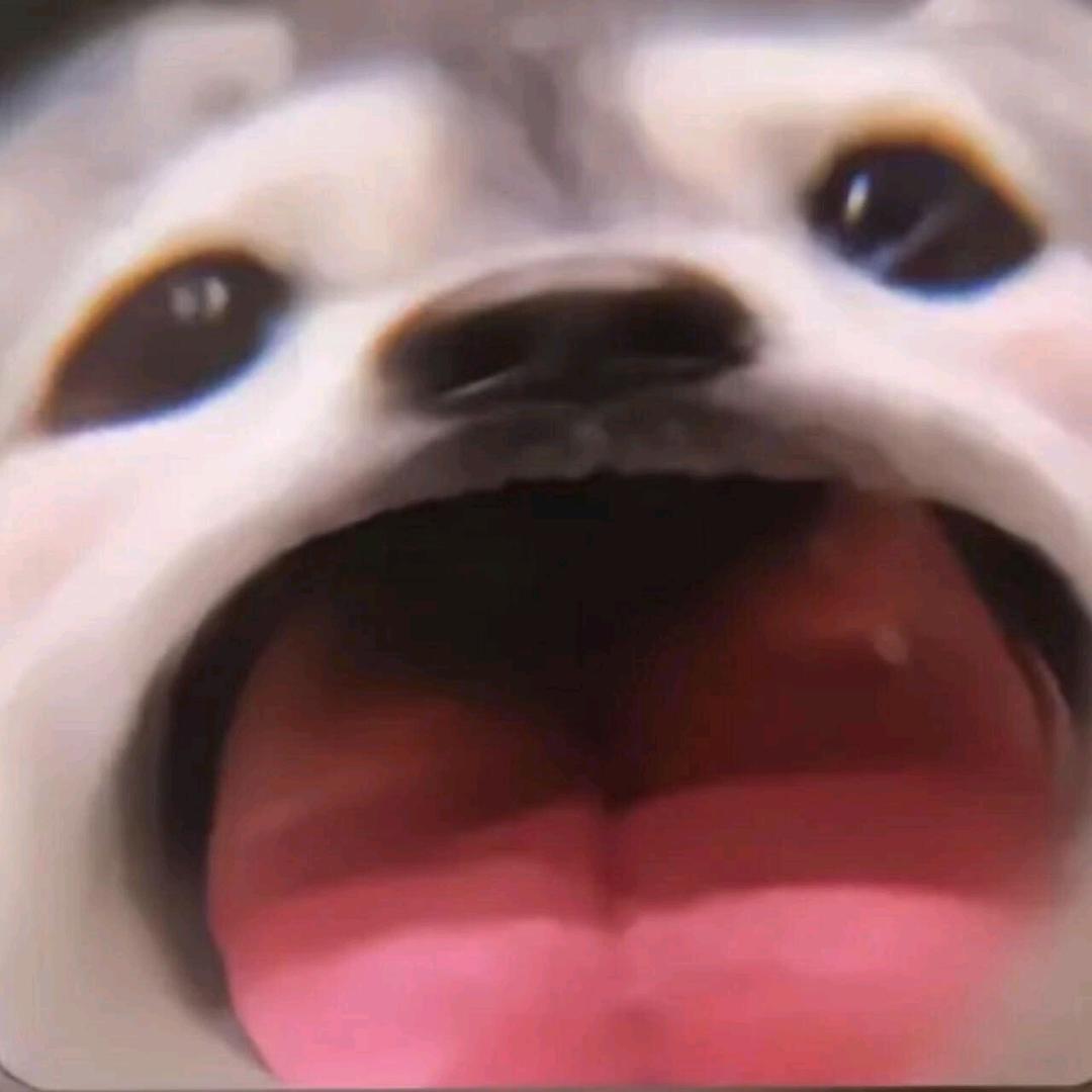 春眠不觉晓🐳