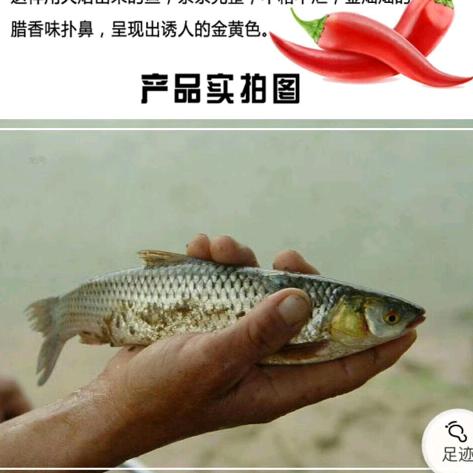火焙鱼