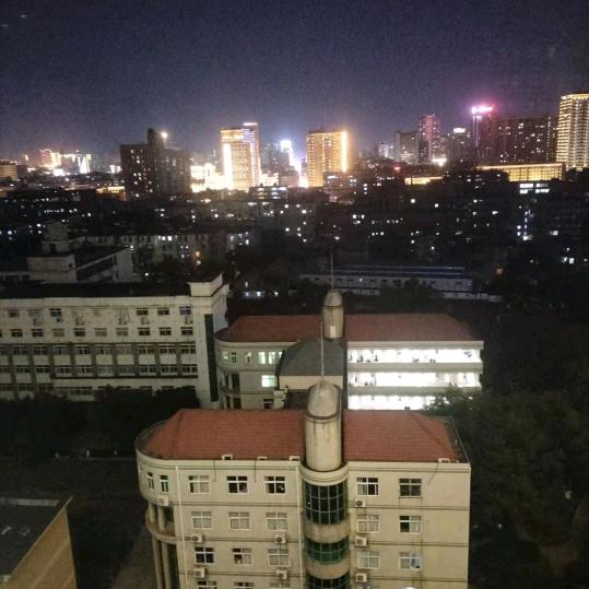 小希十紫罗兰