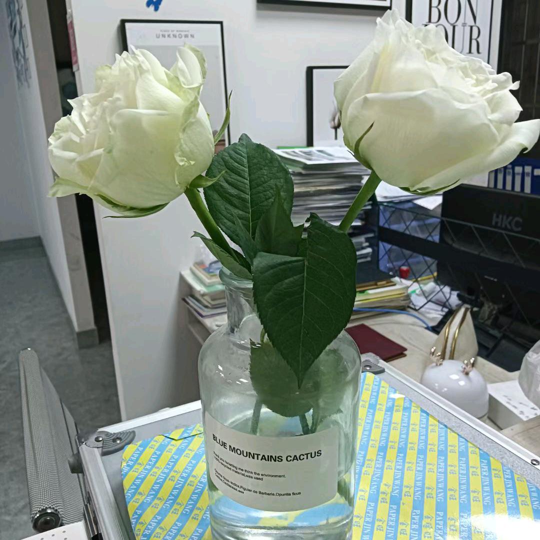 空压机小姐姐（飞飞）