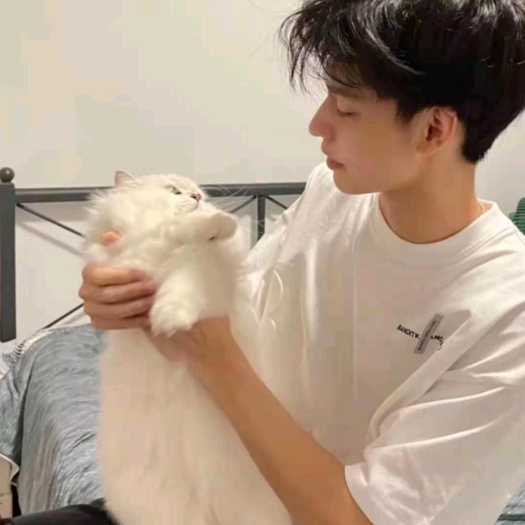 Cat.