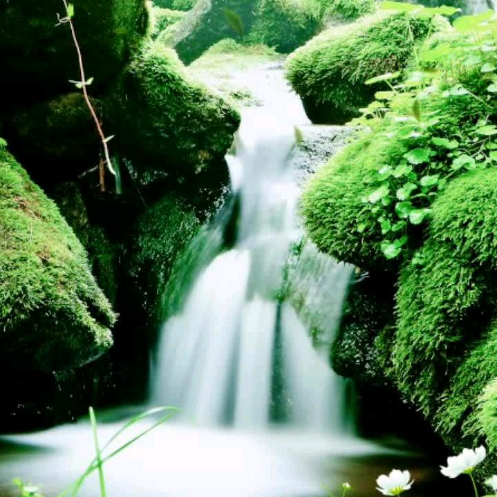 平安都是福