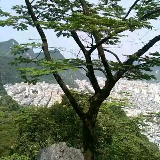 已重置