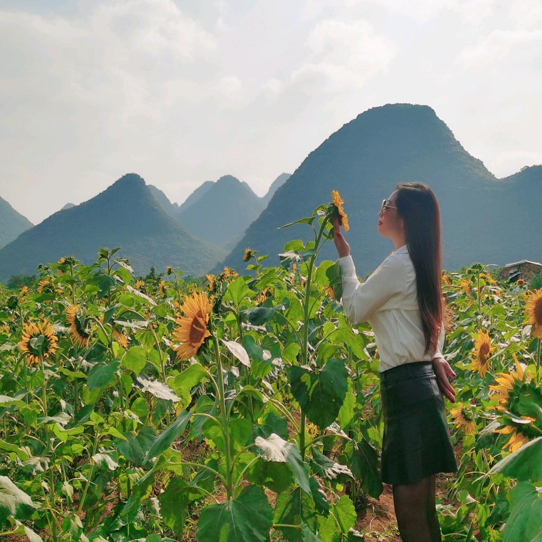 xuwen