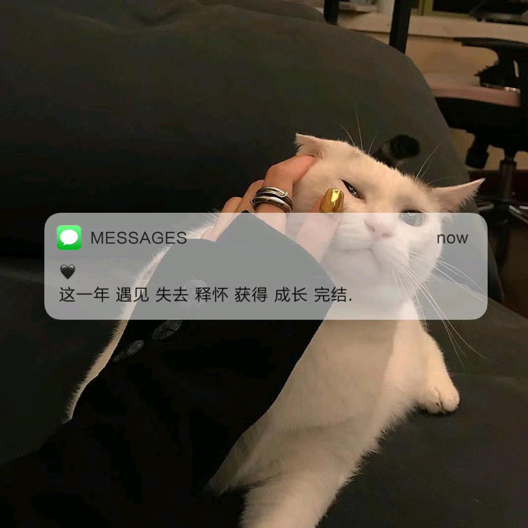 曾经的蜡笔小新