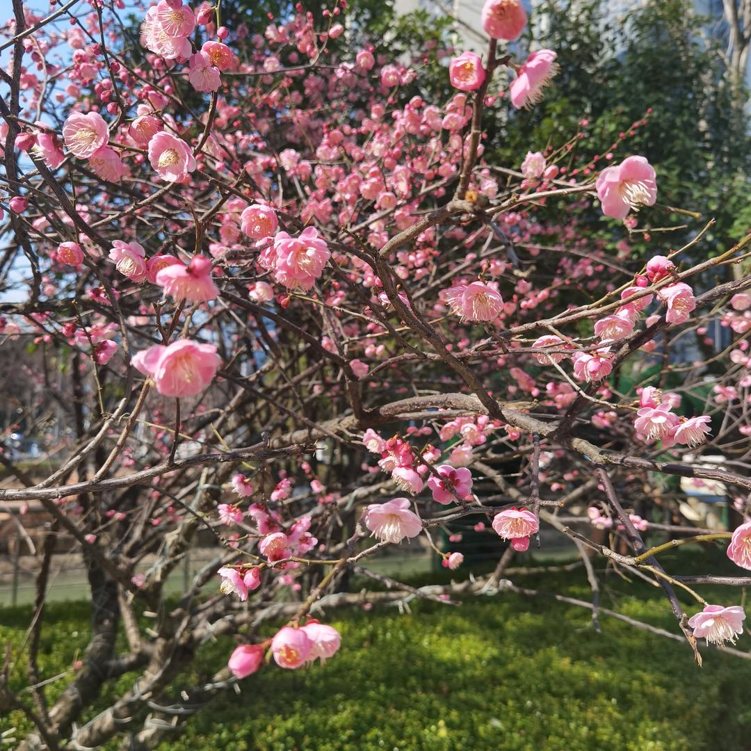湖光山色洞天福地
