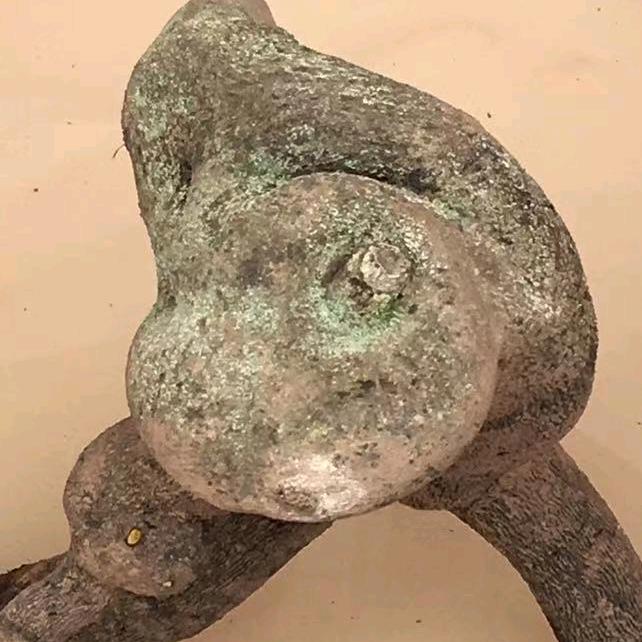 亮晶晶金弹子小号