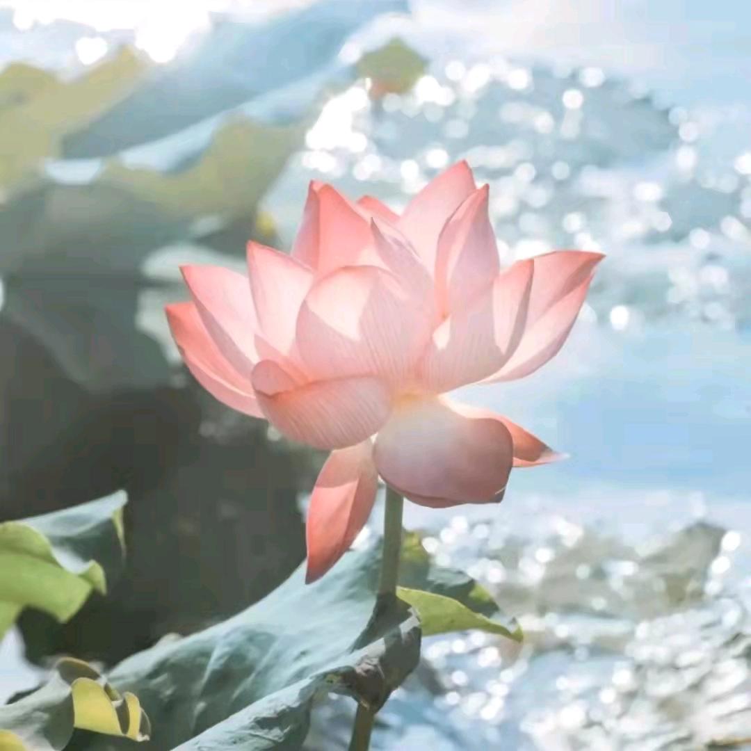 三姐