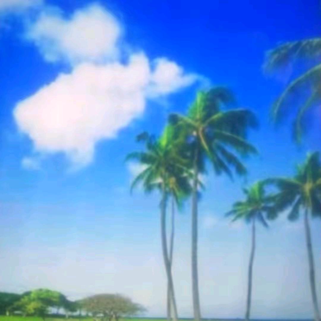 …、头像