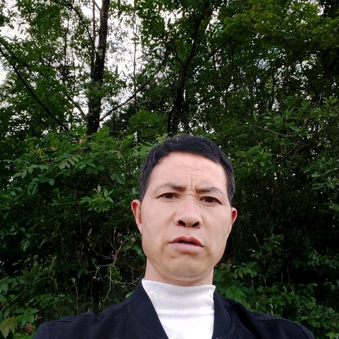 阳光总在风雨后