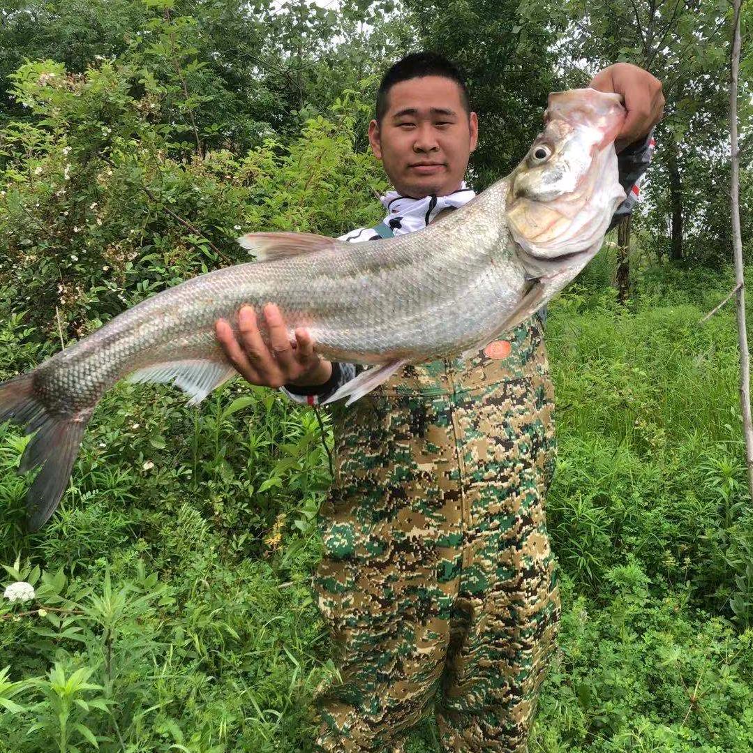 安徽小程黄牛肉批发