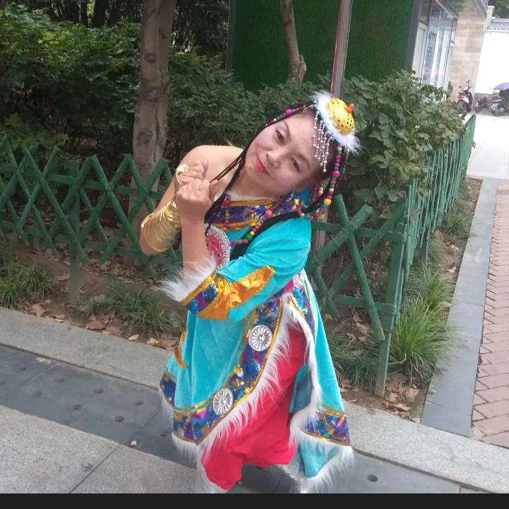 贾喻斤戏歌舞不定时直播