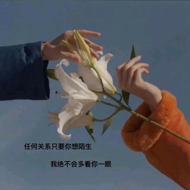 渡余生♥⒌²º