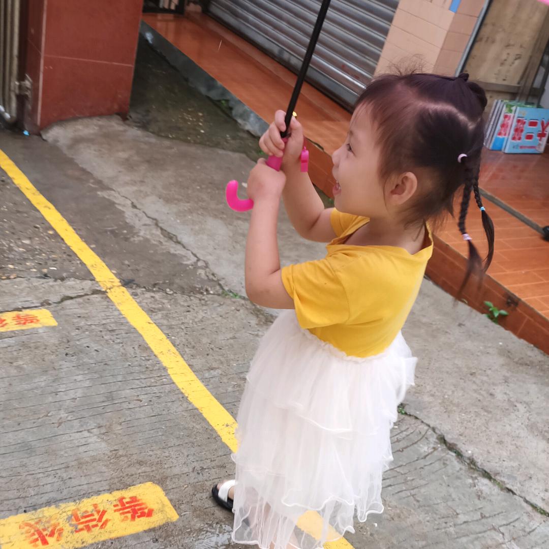 馨馨向日葵