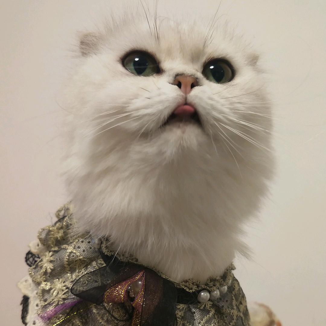 ～～～