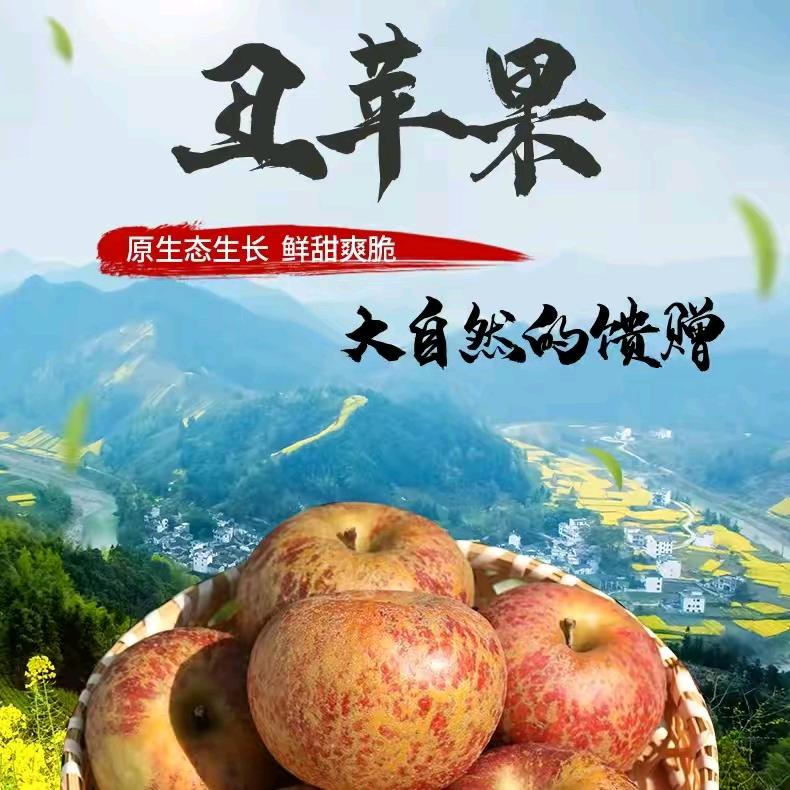 路上读书人