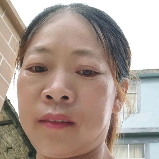 在家自由