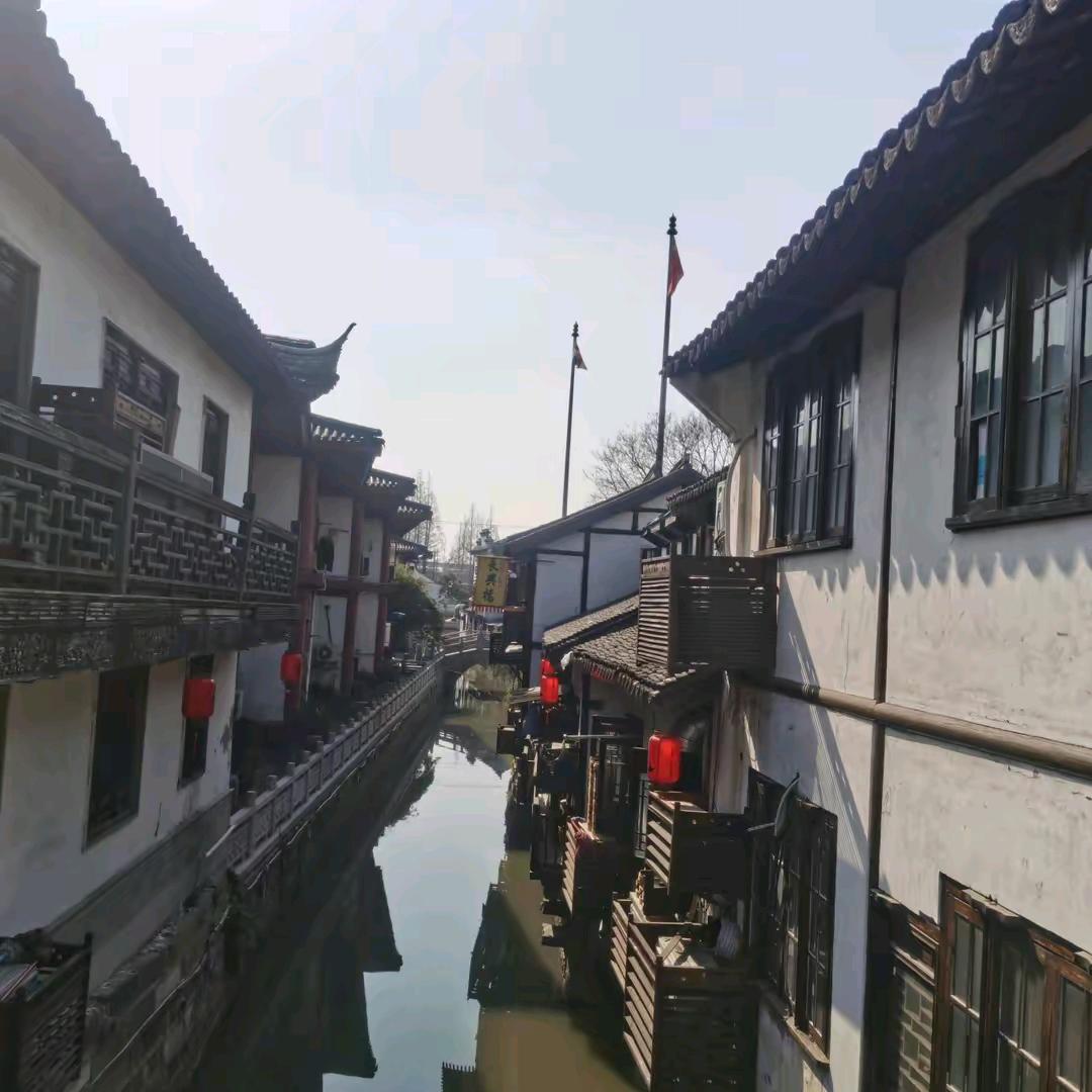 吁吁移动头像