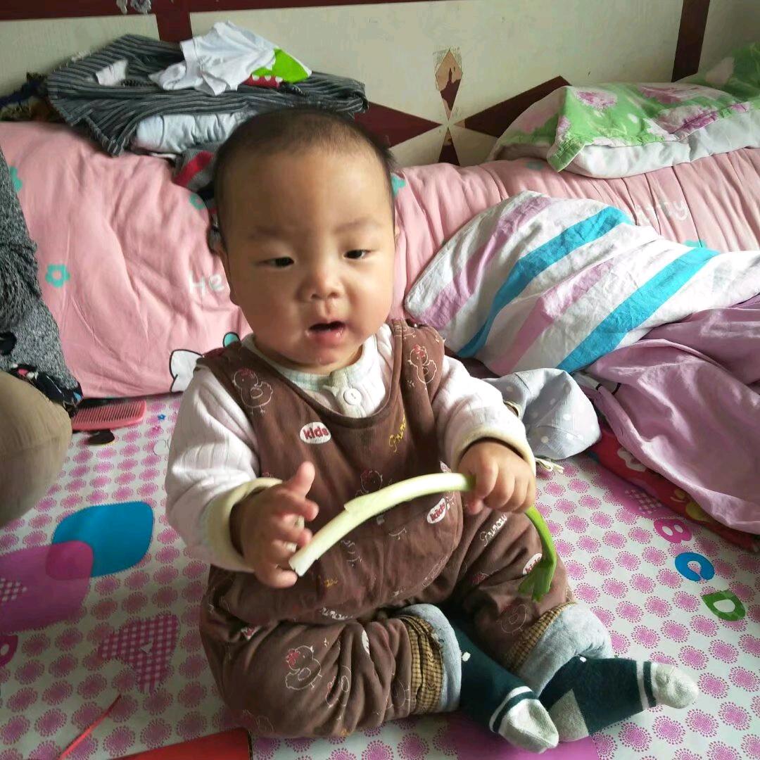 随心