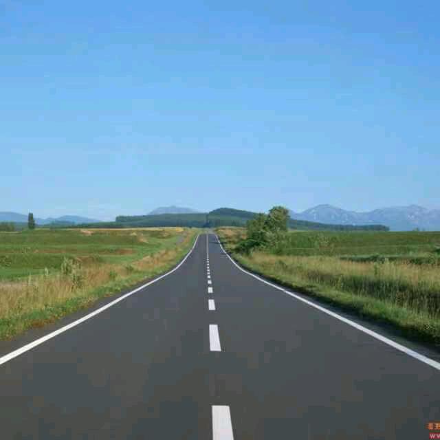 大路精选