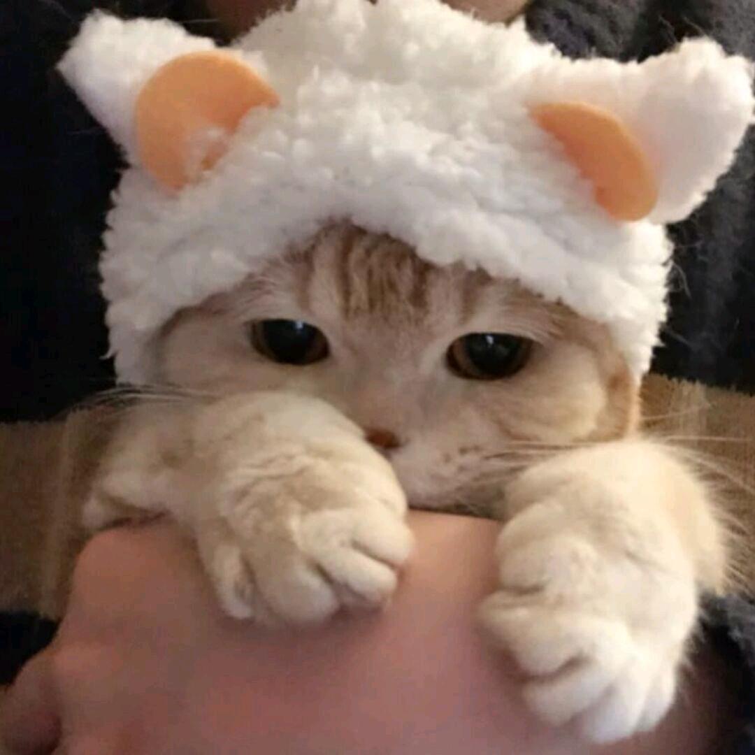 长意