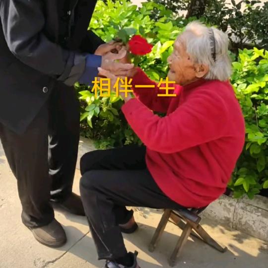 开心天园