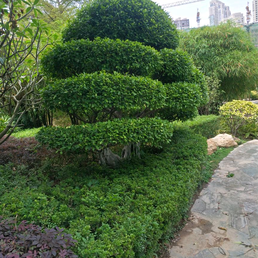 用户1847935997155刘由方