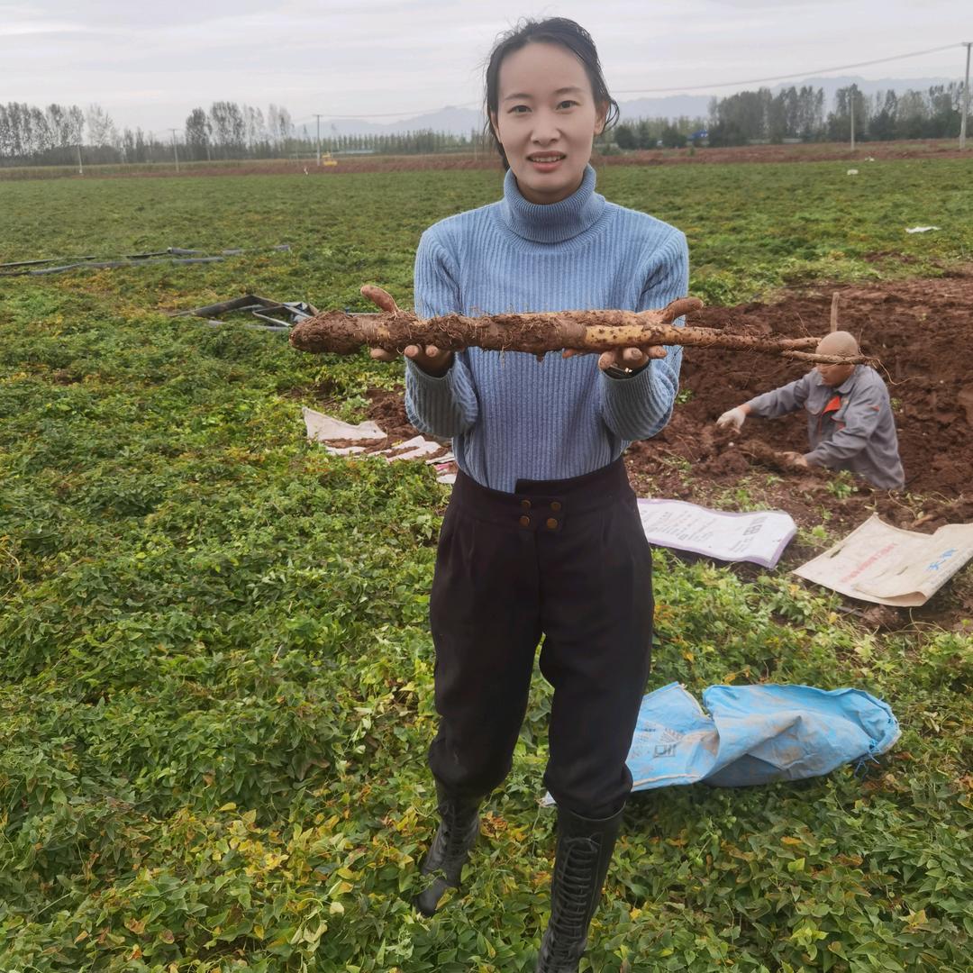 易享春生鲜旗舰店