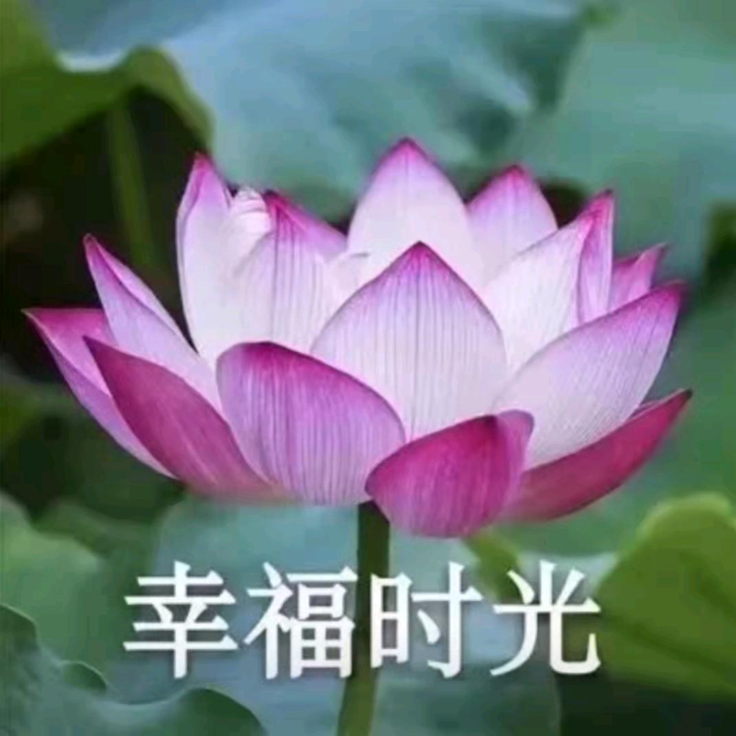 阿香 [谢绝连赞]