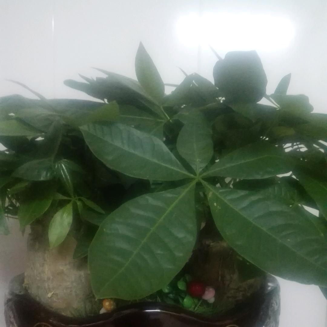 辉煌👜橱窗有好物