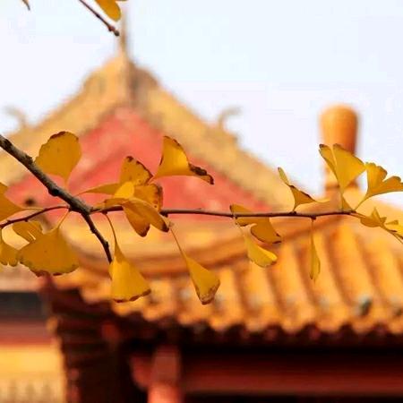 . 放纵°随遇而安