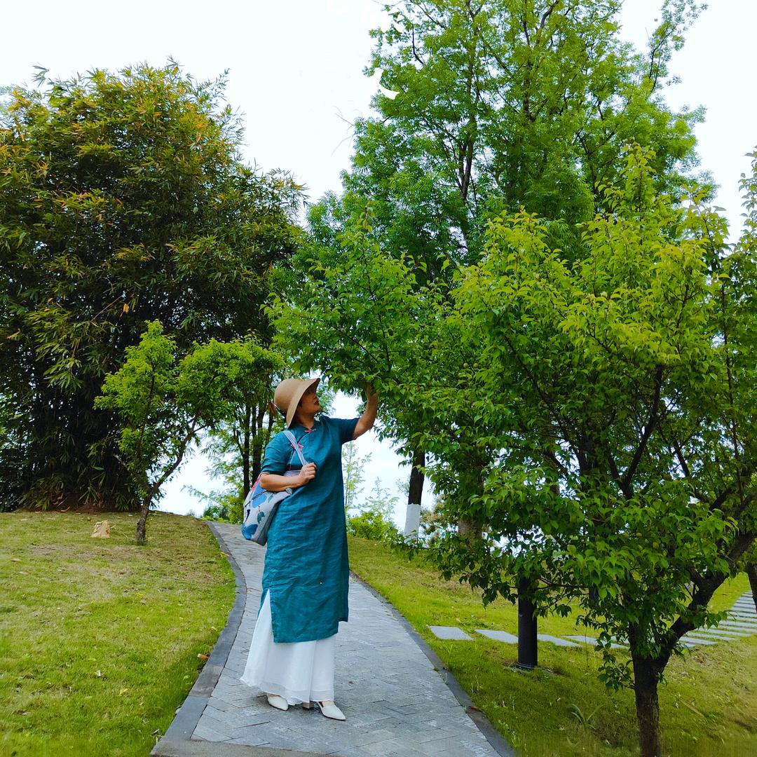 五姐的幸福生活