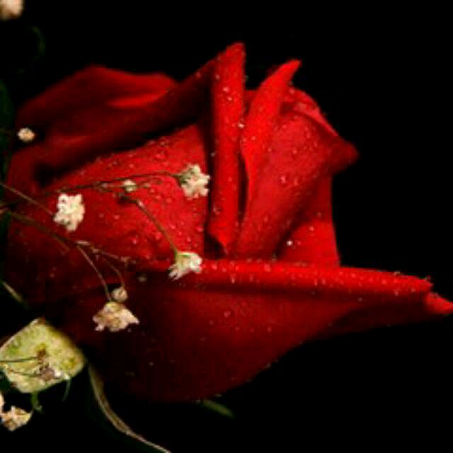 做个坚强的女人