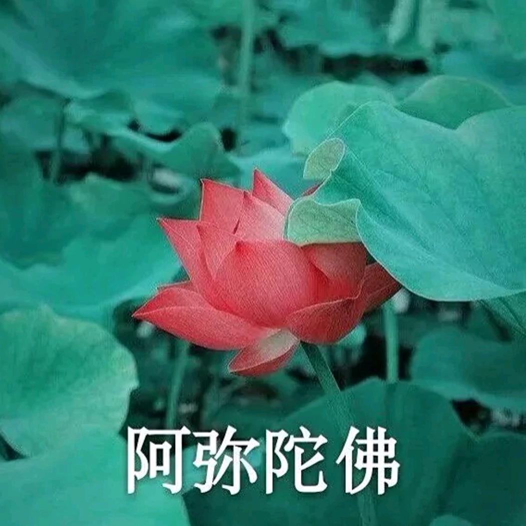 诗心意.