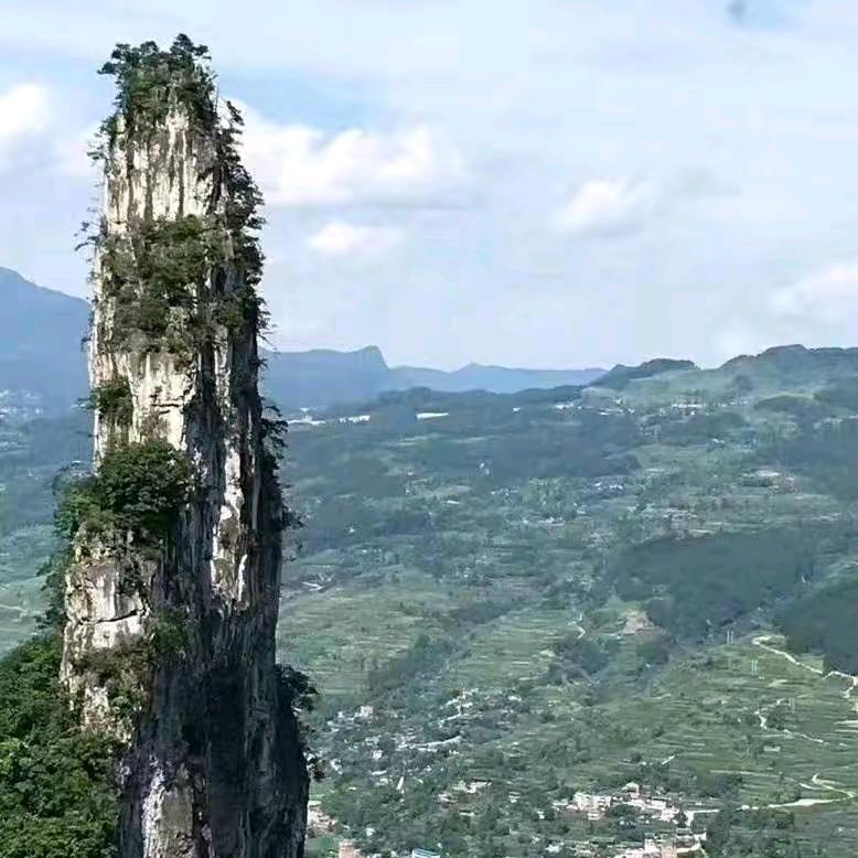 佛教弟子梁先生