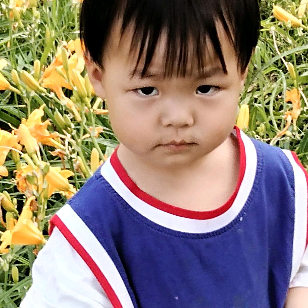紫微轩