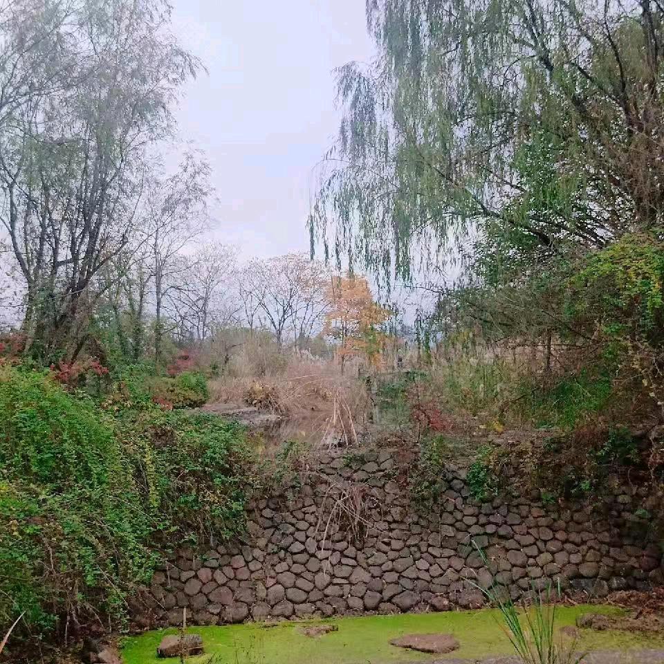 幸福在路上