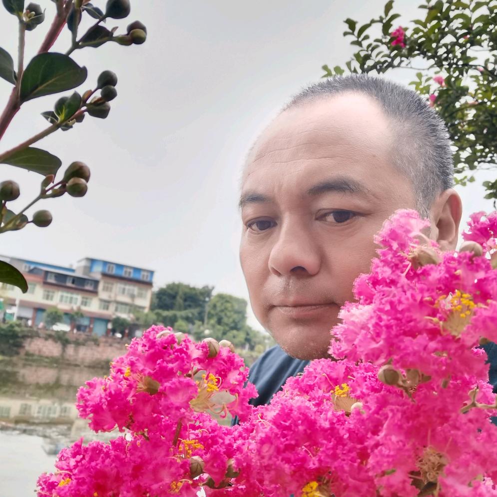 用户天上彩虹