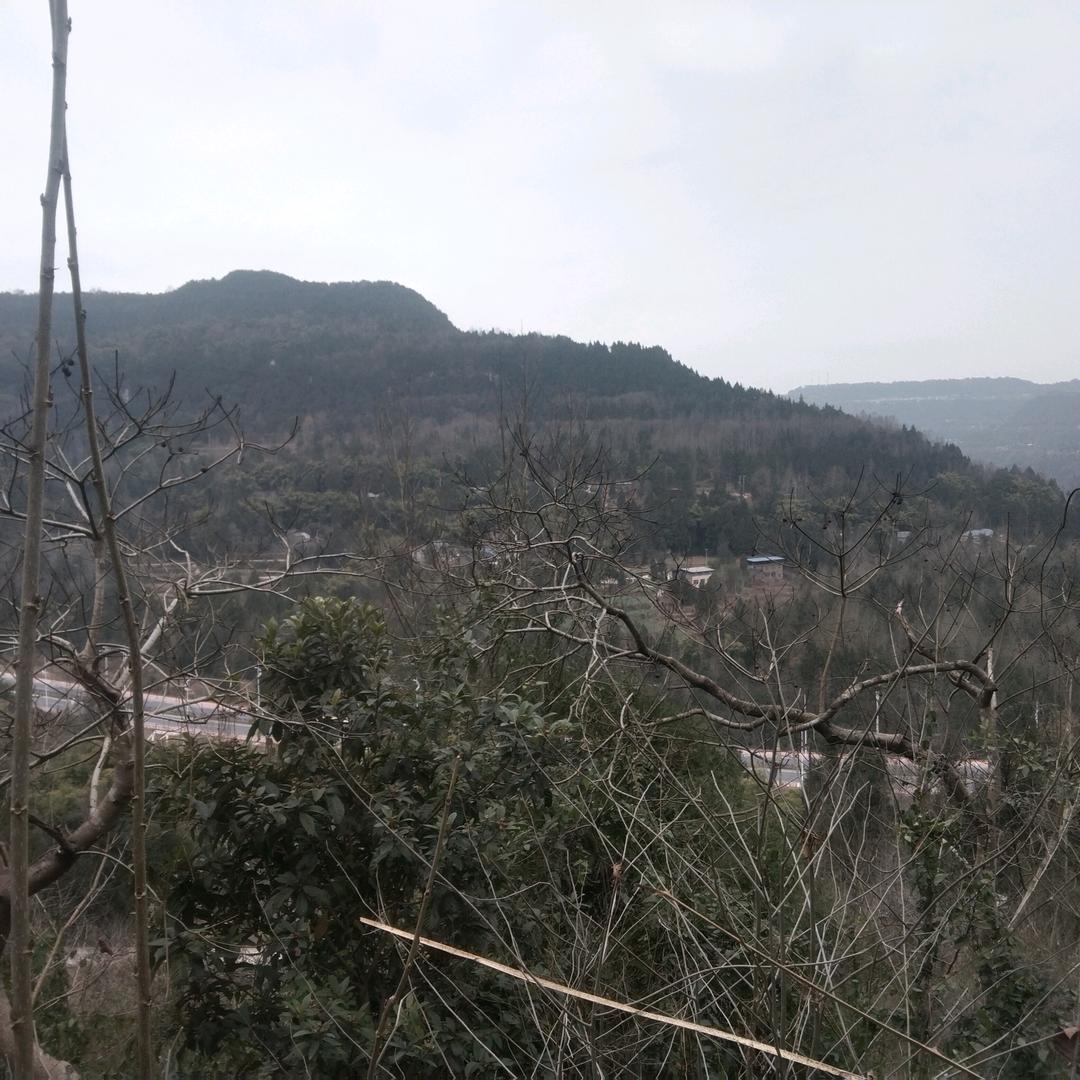 你认识
