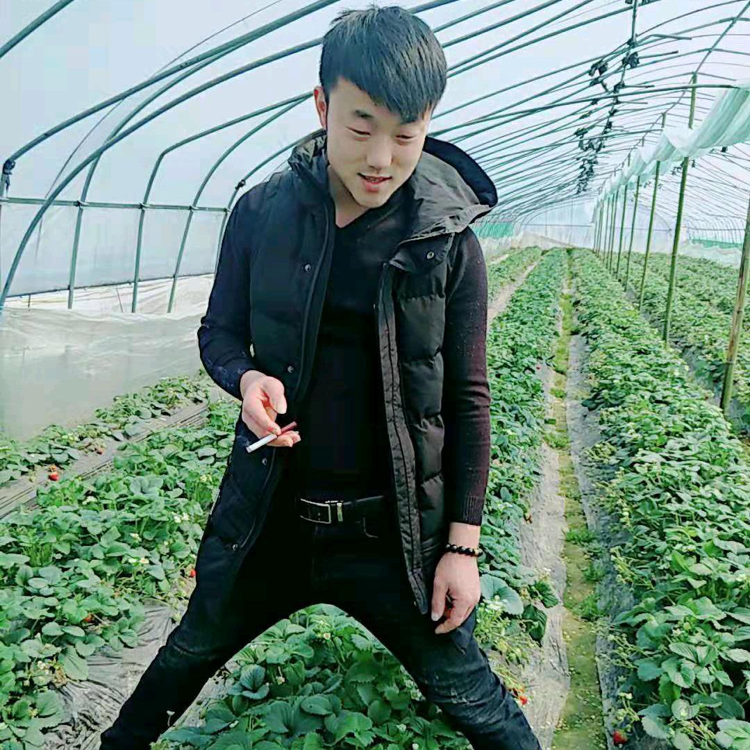承包酒席红白喜事一条龙