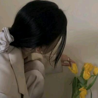 Z宝儿
