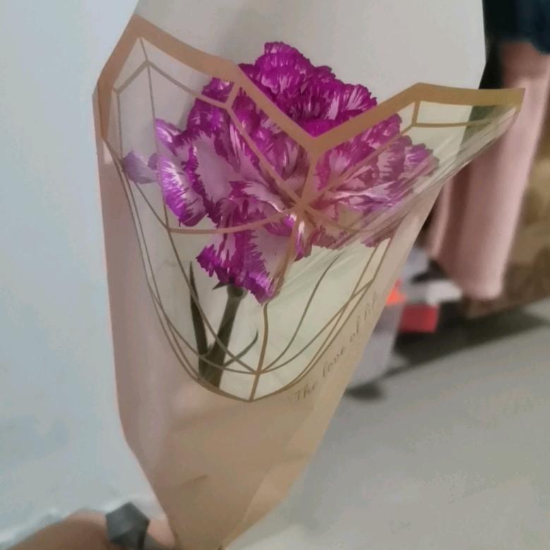 我是春春