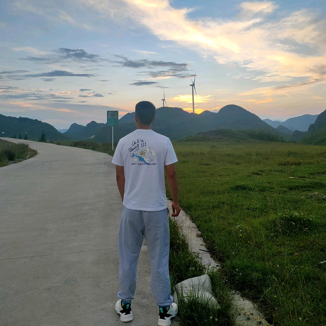 此生无悔入华夏