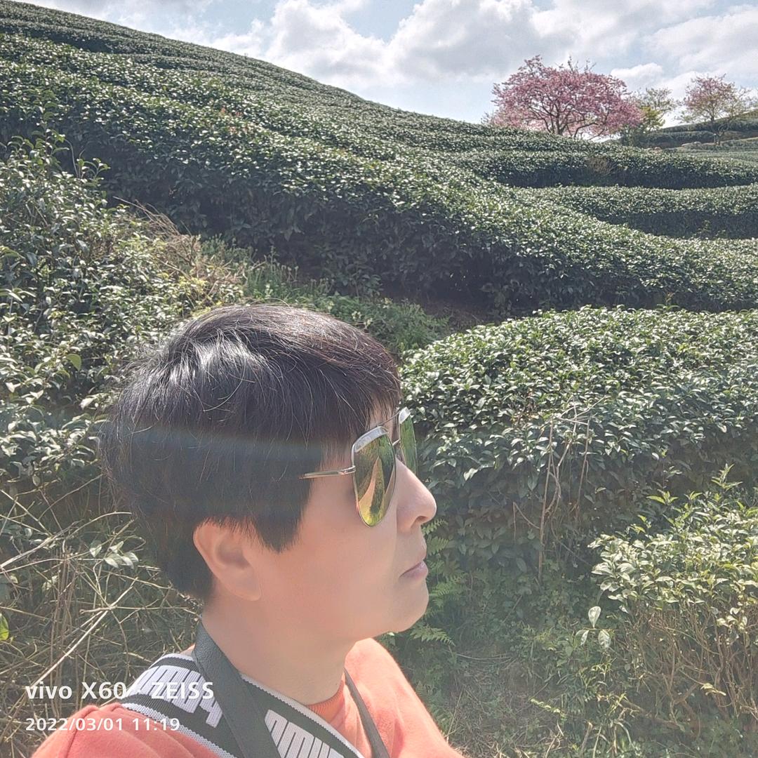 沉默  一首歌 一个故事
