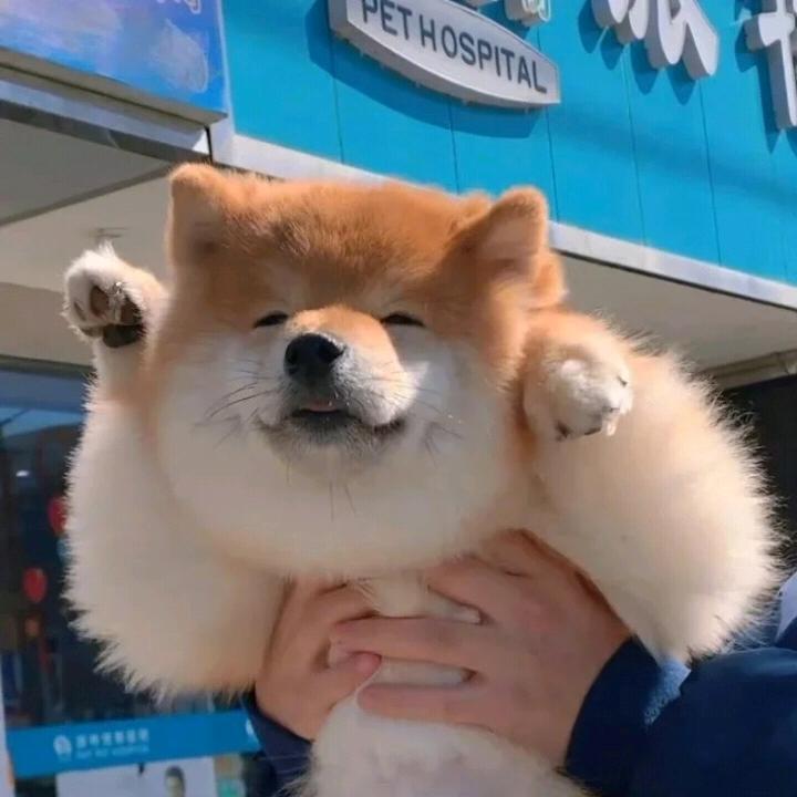 没空取名的憨批