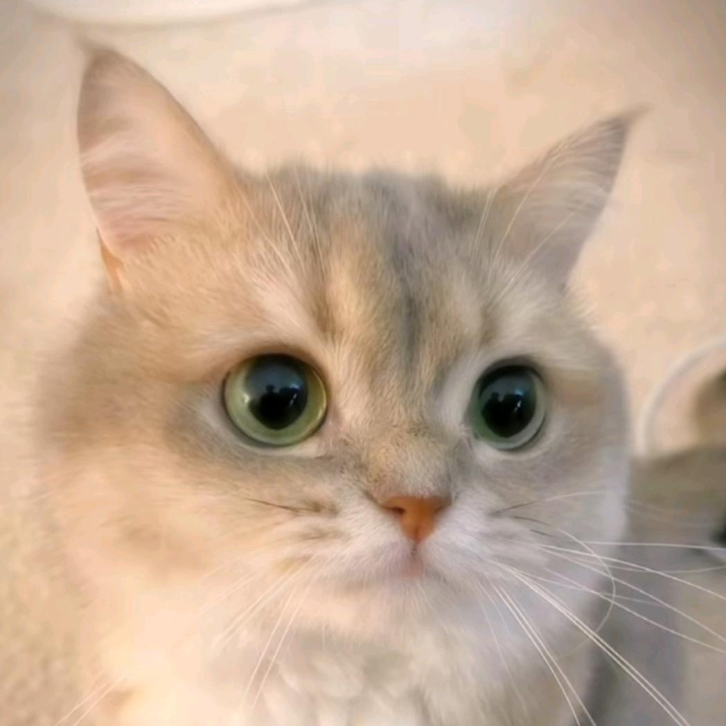 ✧٩(ˊ初💕*)و✧